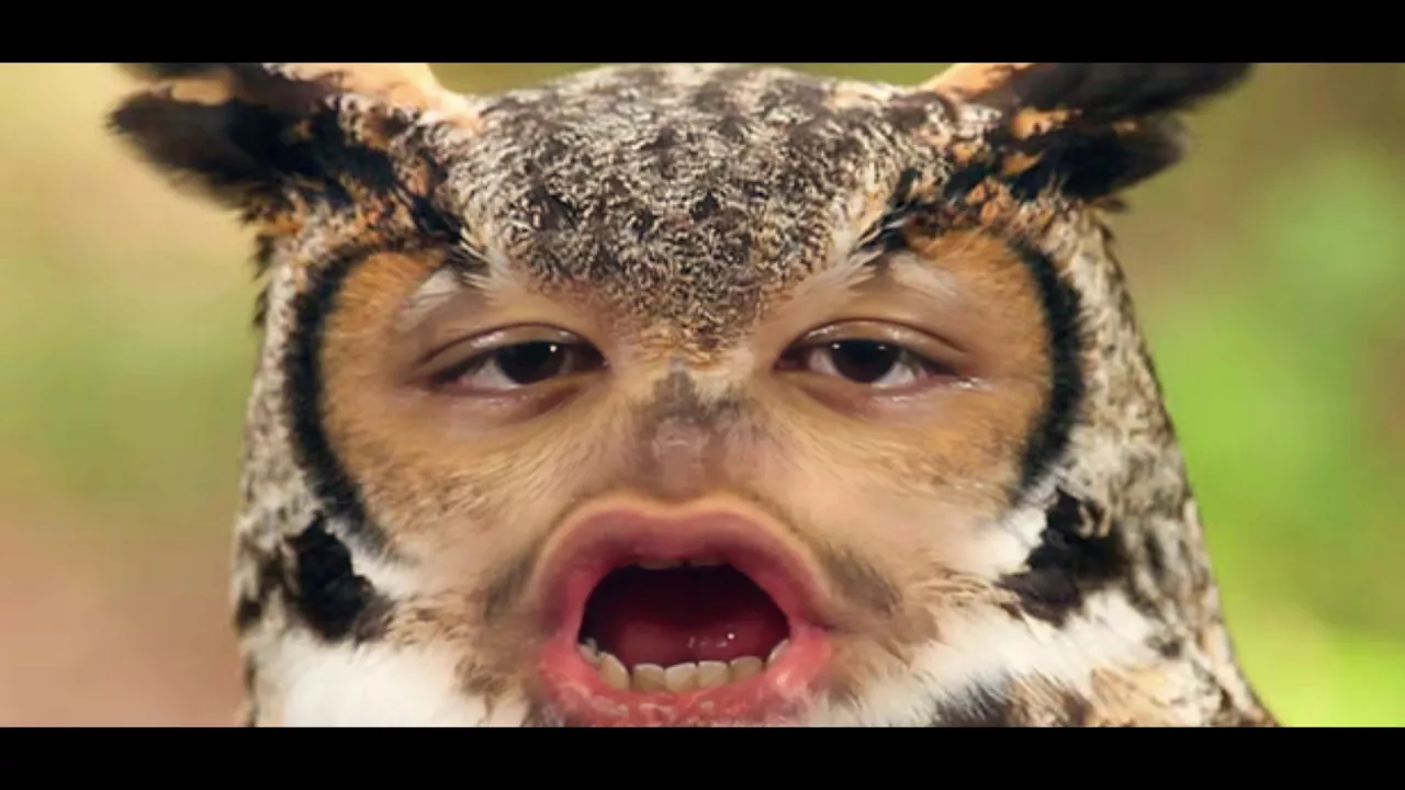Tyler, the Creator - 911 / Mr. Lonely (Music Video) Tyler, the Creator - 911 / Mr. Lonely (Music Video)
