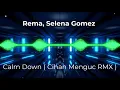 Download Lagu Rema, Selena Gomez - Calm Down ( Cihan Menguc RMX )