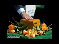 Willwerscheid Funeral Home Cremation Service Saint Paul MN 55105-2634