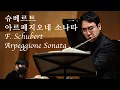 Download Lagu Franz Schubert Arpeggione Sonata | Sung-Hyun Cho