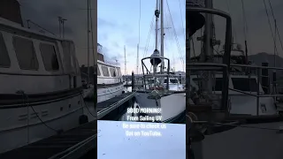 GOOD MORNING from Sailing UV . Hope you have a great day ! #Fyp #dream #vlog #life #sailing