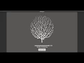 Procedural Trees in Unity Demo Footage