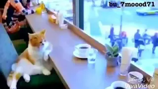فات من عمري سنين وسنين دندنها