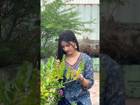 Tere Pyaar ka Nasha Siir #trending #youtubeshorts #shorts #instagram #reels