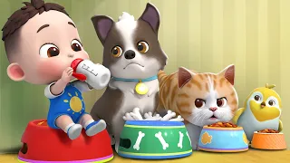 ليا تشاتشا - LiaChaCha | أغنية حيوانات الأليف😺😸😻🐶🐕🦮