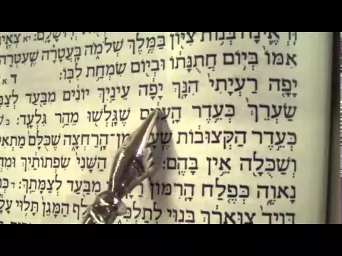 Download MP3 Song of Songs reading Hebrew Ashkenaz Rabbi Weisblum שיר השירים פסח נוסח אשכנז