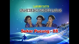 Download 🔴 Tayub Tuban Jawa Timur || Sekar Pucung - 88 iromo MP3