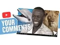 Download Lagu Why He Really Shaved His Hair | BACARY SAGNA | YOUR COMMENTS