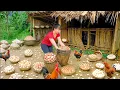 Download Lagu Build Hole for Hens to Lay Eggs – Harvest 1000+ Chicken Eggs in Hole Goes to Countryside Market Sell