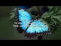 Download Lagu Story wa 30 detik || ,Sayyidul Istighfar || #shorts