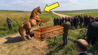 CABALLO PISOTEA EL ATAÚD EN PLENO FUNERAL... Y CUANDO SE ROMPE, LOS ASISTENTES ESCUCHAN LLANTOS...