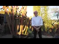 BeDillon s Restaurant Cactus Garden - BOW 12-28-20