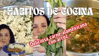 VLOG/ CARNE A LA MEXICANA CON ARROZ Y MUCHA PLÁTICA