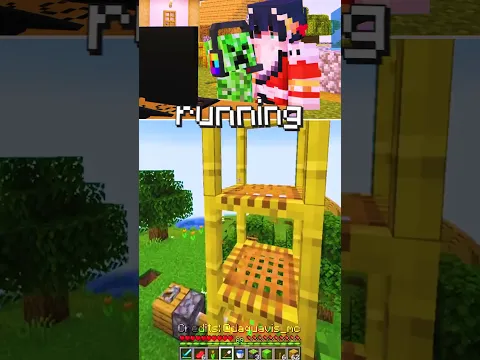 Minecraft Meme