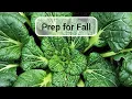 LIVE CHAT Prep for Fall