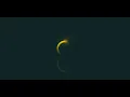 Creative CSS Loading Animations Effects CSS Animation Tutorial for Beginners
