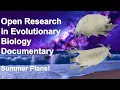 Demystifying Evolutionary Biology My Summer Plans