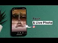Download Lagu How to Post a Live Photo on Instagram Story?