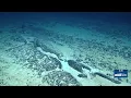 Deep-sea mining plan off American Samoa draws criticism
