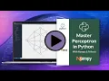 Master Perceptron Algorithm in Python Numpy PyTorch Tutorial