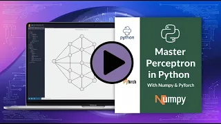 Master Perceptron Algorithm in Python Numpy PyTorch Tutorial