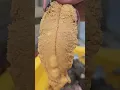 Eating a massive #Kina #Seaurchin #uni #seafood #kaimoana #wildlife #mukbang #foodporn #chef #viral