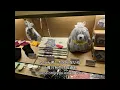 笑顔のあと味|微笑的餘韻| The Afterglow of a Smile【S28EP20】片尾曲，拍攝於石門福華飯店
