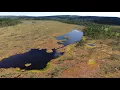 Download Lagu Carbon Biogeochemistry of Northern Peatlands