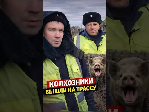 КОЛХОЗНИКИ ВЫШЛИ НА ТРАССУ
