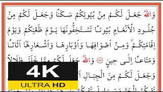                                                 اسحق دانيش                 دندنها