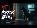 Download Lagu 3 echte huisdierhorrorverhalen die je slaap veranderen