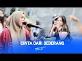 CINTA DARI SEBERANG - EVI MARIANI TERBARU ALDEVA MUSIK
