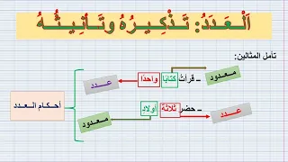 Numbers Lesson Masculine And Feminine For Second Year Of Middle School A Simplified Explanatio 