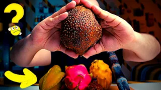 جربت أغرب فواكه في العالم 