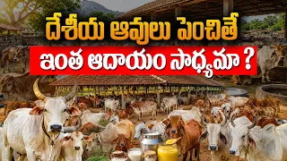 ఆవులను అభివృద్ధి చేస్తూ.. నెలకి రూ. 60 వేల ఆదాయం | Dilip Kumar @Raitunestham