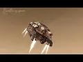 Joris Delacroix - Symbiose , Mars planet & Aliens 2021, chill music mix 2021