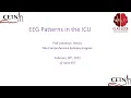 EEG Patterns in the ICU by Prof Lawrence Hirsch