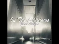 In the Shadows