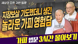 지장보살 기도했더니 생긴 놀라운 가피영험담 3시간 몰아보기 | 세상의 모든 귀한 법문, 세모귀 #지장보살 #광우스님 #묘허스님