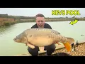Download Lagu I Caught The Biggest Fish In The Lake I Built + Kevs Pool Update Vlog!