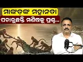 ମାଙ୍କଡ଼ଙ୍କ ମହାନତା | ପଚାରୁଛନ୍ତି ମଣିଷକୁ ପ୍ରଶ୍ନ | Manoranjan Mishra | Newsroom |  Monkey | crocodile