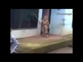 Download Lagu Tawuran kake vs nenek lucu!!!