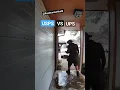 Houston U S postal services vs UPS it was just mop water guys