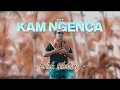 Erick Sihotang - KAM NGENCA (Official Lyric Video)
