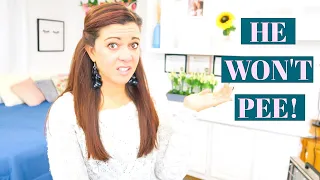 what to do when your kid wont pee how to handle potty training refusals u0026 withholding urine