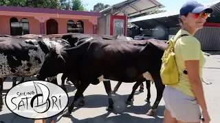 Exploring Luperon! (Sailing Satori) S2:E17