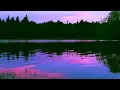 Lagu Relaxing Nature Ambience Meditation🌙 Nighttime Ambience 💜 8h Swamp Sounds at Night, Frogs \u0026 Crickets