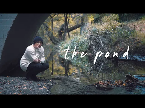 Download MP3 Rosendale - The Pond (Lyric Video)