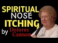 Spiritual Meaning Of Nose Itching Dolores Cannon Wisdom Wise