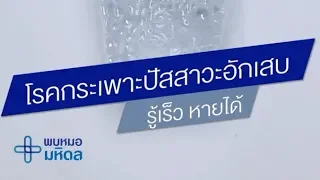 อาการหลักของโรคกระเพาะปัสสาวะอักเสบมีอะไรบ้าง และมีผลต่อร่างกายอย่างไร